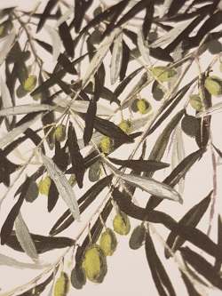 116792309_211030546968867_2418281855460329765_n